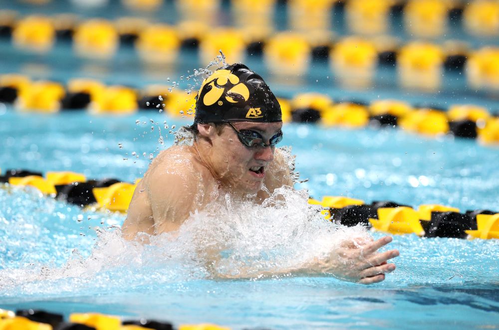 Iowa's Daniel Swanepoel swims the breaststroke leg of the 200 medley relay at the 2019 Big Ten Swimming and Diving meet Wednesday, February 27, 2019 at the Campus Wellness and Recreation Center. (Brian Ray/hawkeyesports.com)