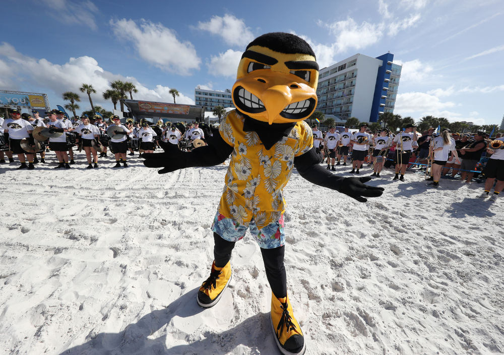 Herky The Hawk during the Outback Bowl Beach Day Sunday, December 30, 2018 at Clearwater Beach. (Brian Ray/hawkeyesports.com)
