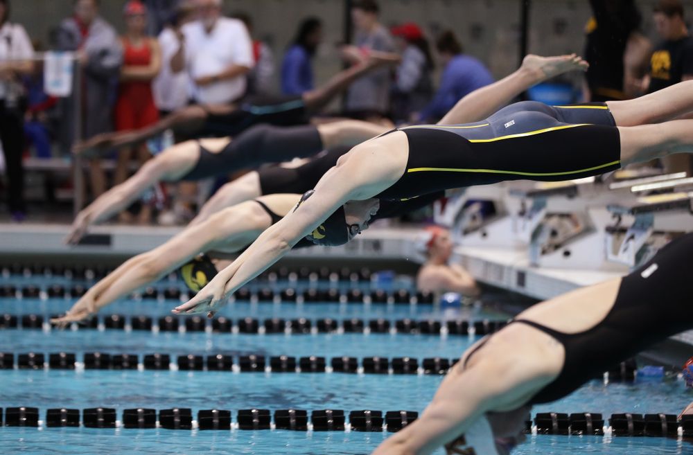 Iowa's Samantha Sauer swims the 50 yard freestyle Thursday, November 15, 2018 during the 2018 Hawkeye Invitational at the Campus Recreation and Wellness Center. (Brian Ray/hawkeyesports.com)