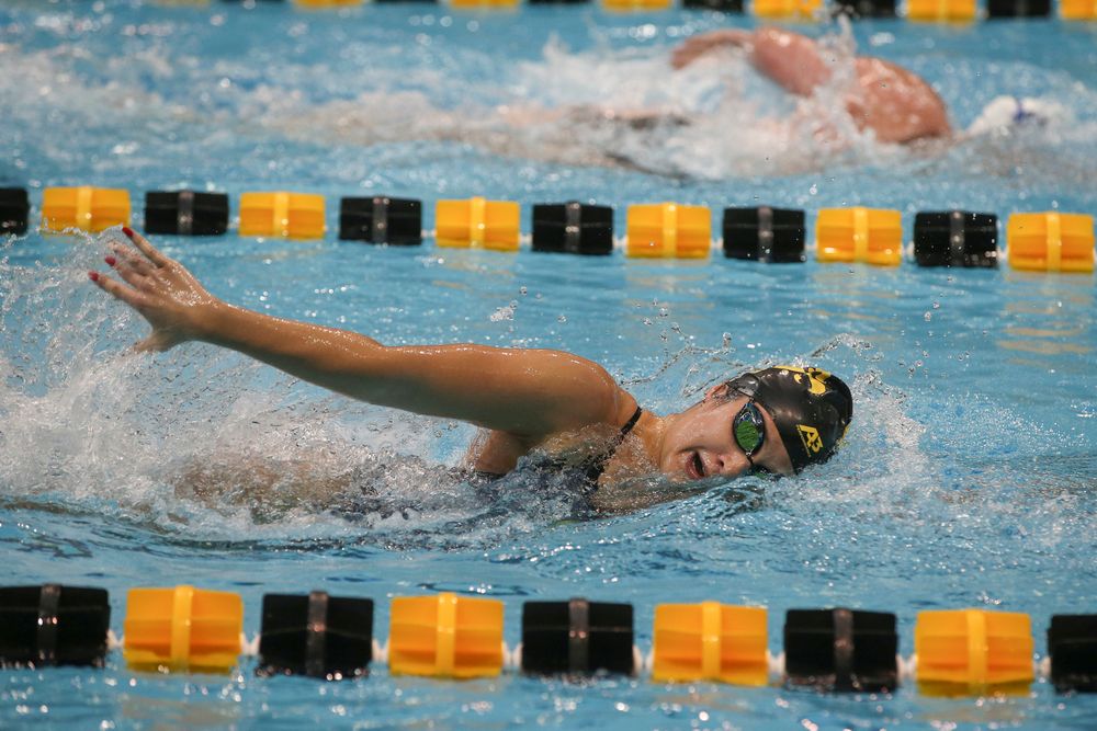 Iowa’s Helen Blumenau swims the 100-yard freestyle during the Iowa swimming and diving meet vs Notre Dame and Illinois on Saturday, January 11, 2020 at the Campus Recreation and Wellness Center. (Lily Smith/hawkeyesports.com)