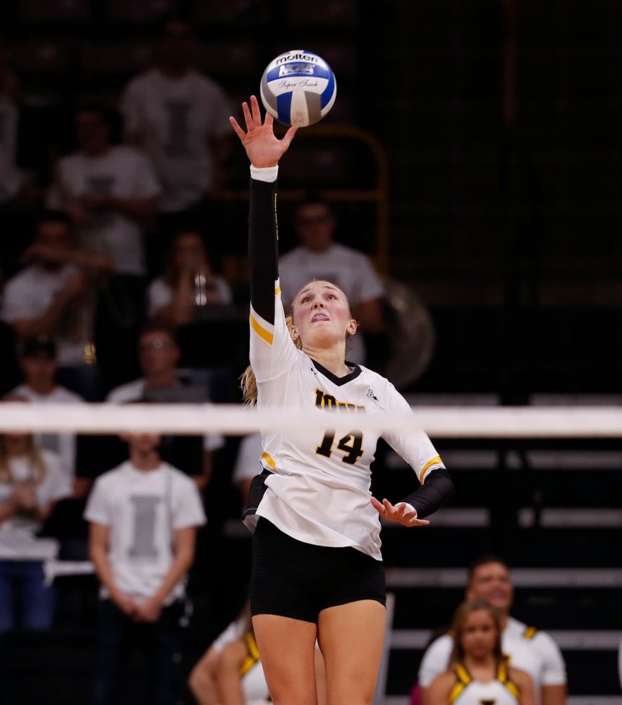 Iowa Hawkeyes outside hitter Cali Hoye (14) against the Michigan State Spartans Friday, September 21, 2018 at Carver-Hawkeye Arena. (Brian Ray/hawkeyesports.com)