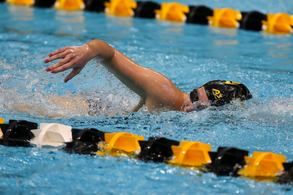 Iowa’s Taylor Hartley during Iowa swim and dive vs Minnesota on Saturday, October 26, 2019 at the Campus Wellness and Recreation Center. (Lily Smith/hawkeyesports.com)