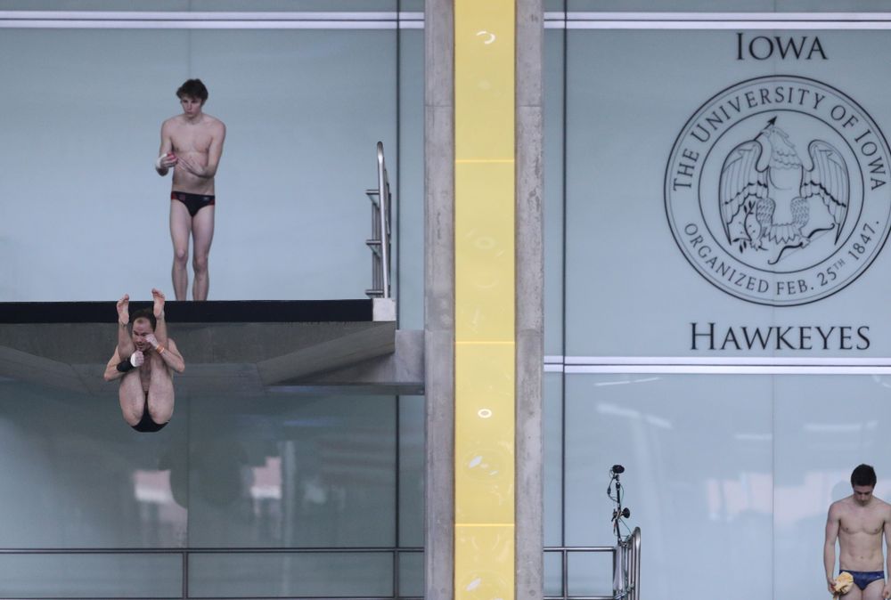 Iowa's Anton Hoherz competes on the platform during the 2019 Big Ten Men's Swimming and Diving Championships Saturday, March 2, 2019 at the Campus Wellness and Recreation Center. (Brian Ray/hawkeyesports.com)