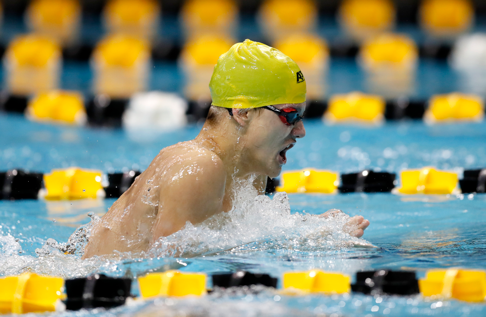 Anze Fers Erzen swims the 200 yard IM during the Black and Gold Intrasquad Saturday, September 29, 2018 at the Campus Recreation and Wellness Center. (Brian Ray/hawkeyesports.com)