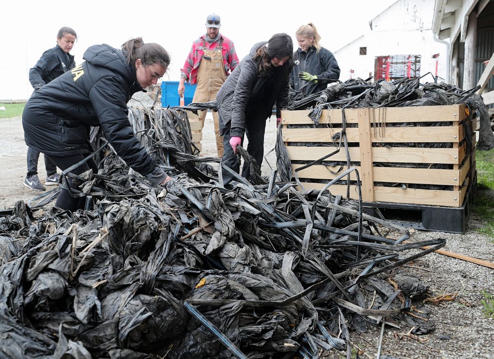 Iowa soccer players work at Grow: Johnson County at the Johnson County Historic Poor Farm during the 21st annual ISAAC Hawkeye Day of Caring in Iowa City on Sunday, Apr. 28, 2019. (Stephen Mally/hawkeyesports.com)