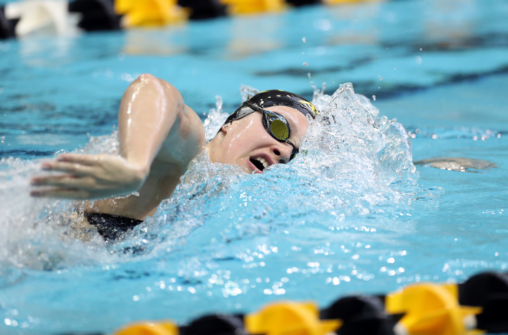 IowaÕs Lauren McDougall swims the 200 yard freestyle agains the Michigan Wolverines Friday, November 1, 2019 at the Campus Recreation and Wellness Center. (Brian Ray/hawkeyesports.com)