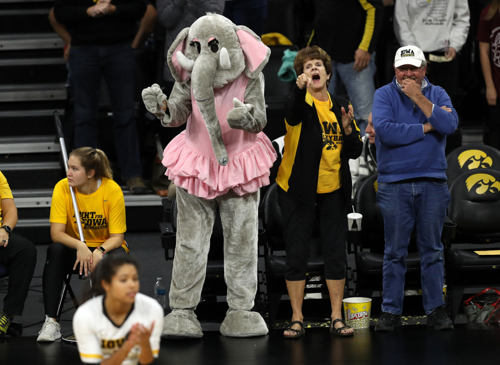 The Iowa Hawkeyes against the Northwestern Wildcats Wednesday, October 24, 2018 at Carver-Hawkeye Arena. (Brian Ray/hawkeyesports.com)