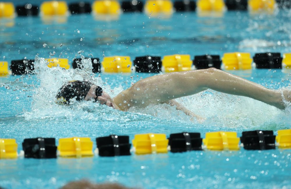 Iowa's Ben Colin swims the 500 yard freestyle Thursday, November 15, 2018 during the 2018 Hawkeye Invitational at the Campus Recreation and Wellness Center. (Brian Ray/hawkeyesports.com)