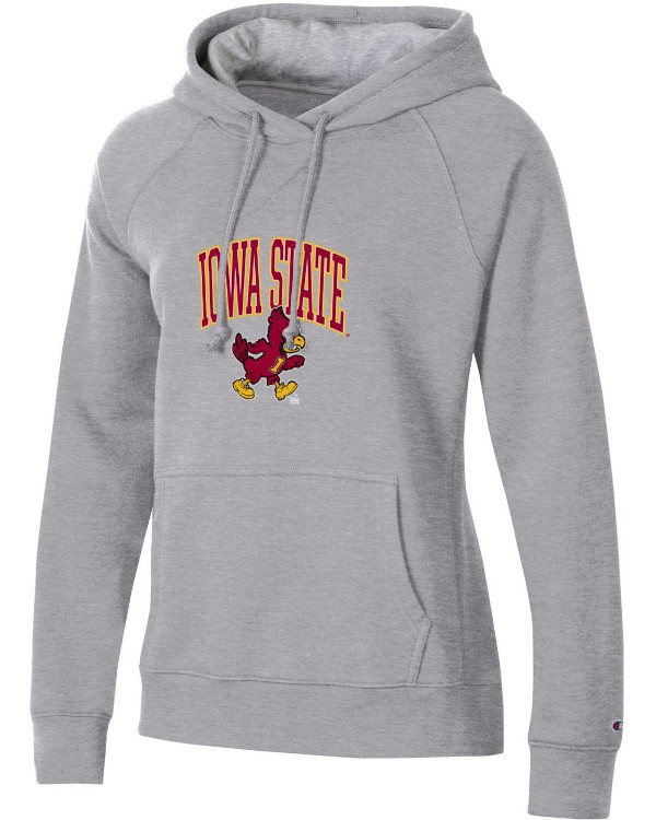 grey champion women's hoodie