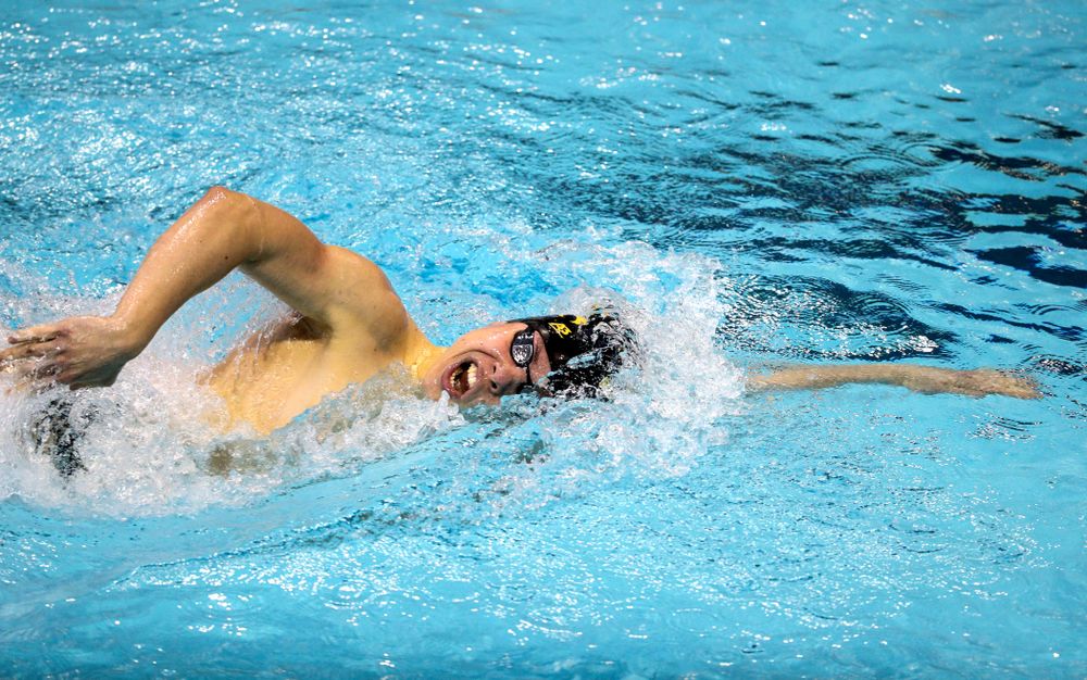 Iowa's Mateusz Arndt swims the 1000 yard freestyle during a double dual against Wisconsin and Northwestern Saturday, January 19, 2019 at the Campus Recreation and Wellness Center. (Brian Ray/hawkeyesports.com)