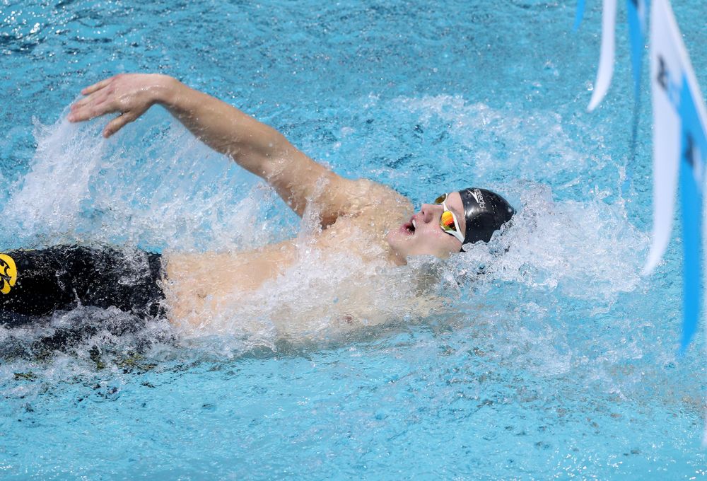 Iowa's Anze Fers Erzen competes in the 200-yard backstroke during the 2019 Big Ten Men's Swimming and Diving Championships Saturday, March 2, 2019 at the Campus Wellness and Recreation Center. (Brian Ray/hawkeyesports.com)