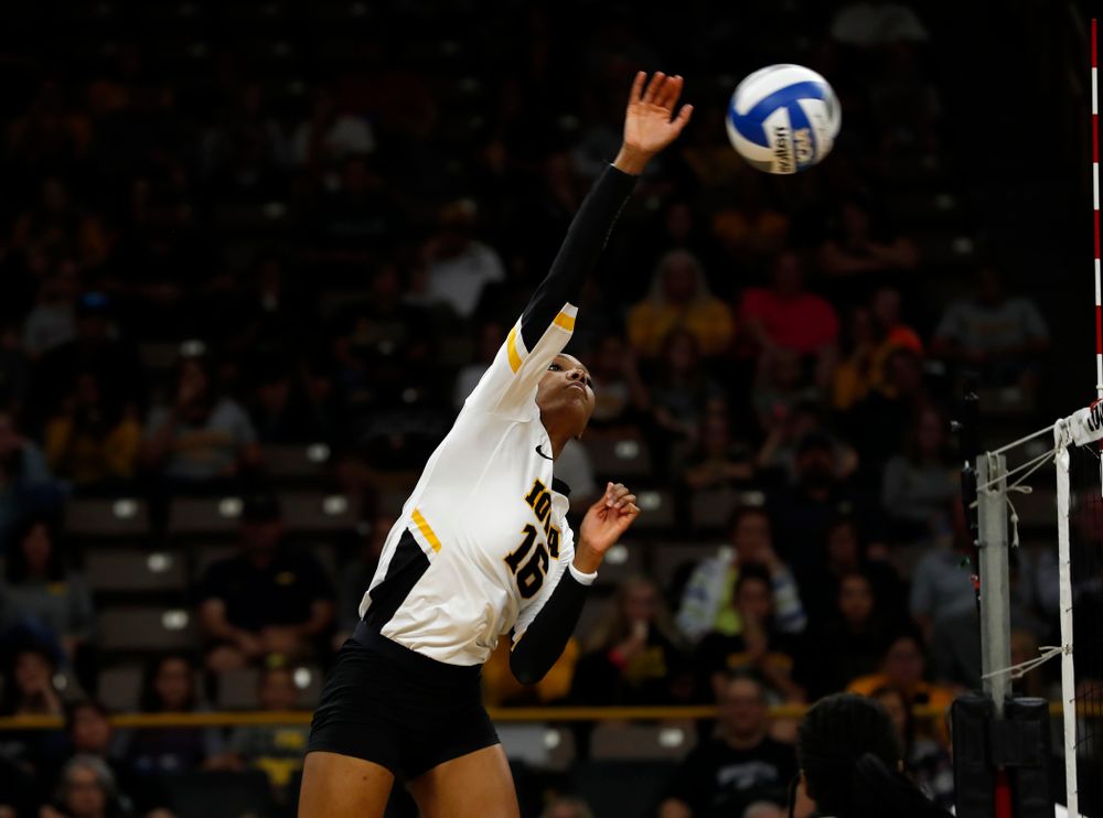 Iowa Hawkeyes outside hitter Taylor Louis (16) against the Michigan Wolverines Sunday, September 23, 2018 at Carver-Hawkeye Arena. (Brian Ray/hawkeyesports.com)