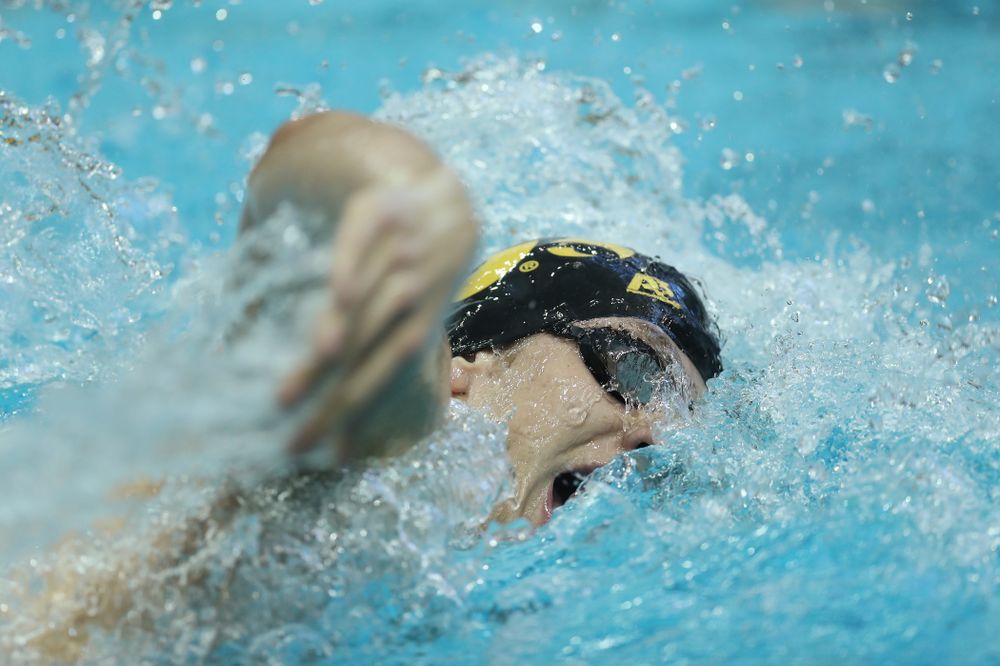 Iowa's Jackson Allmon swims the 500 yard freestyle Thursday, November 15, 2018 during the 2018 Hawkeye Invitational at the Campus Recreation and Wellness Center. (Brian Ray/hawkeyesports.com)