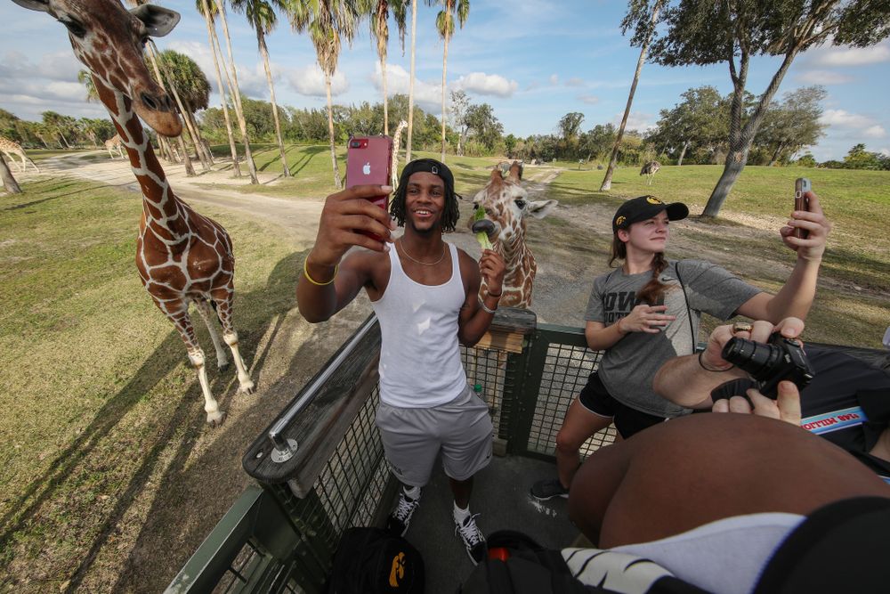 Iowa Hawkeyes wide receiver Ihmir Smith-Marsette (6) feeds a giraffe during an Outback Bowl team event Saturday, December 29, 2018 at Busch Gardens in Tampa, FL. (Brian Ray/hawkeyesports.com)