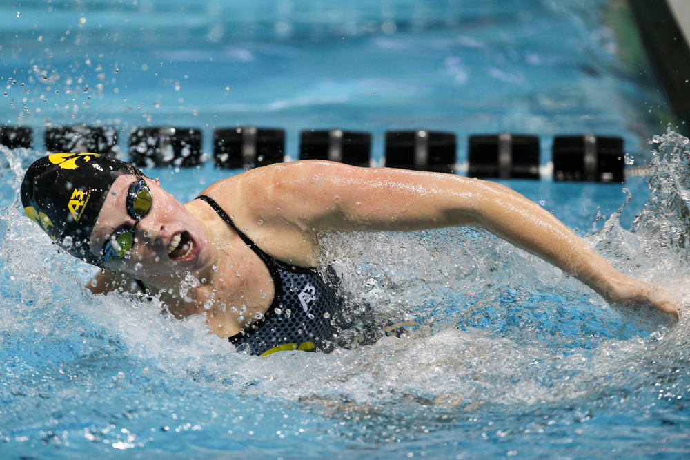 Iowa’s Paige Hanley during Iowa swim and dive vs Minnesota on Saturday, October 26, 2019 at the Campus Wellness and Recreation Center. (Lily Smith/hawkeyesports.com)