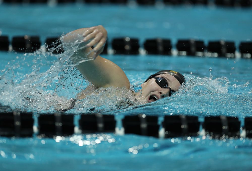 Iowa's Taylor Hartley swims the 500 yard freestyle Thursday, November 15, 2018 during the 2018 Hawkeye Invitational at the Campus Recreation and Wellness Center. (Brian Ray/hawkeyesports.com)