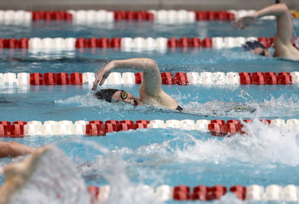 Iowa's Abbegayle Schneider swims the 500-yard freestyle during the 2019 Women's Big Ten Swimming and Diving meet Thursday, February 21, 2019 in Bloomington, Indiana. (Brian Ray/hawkeyesports.com)