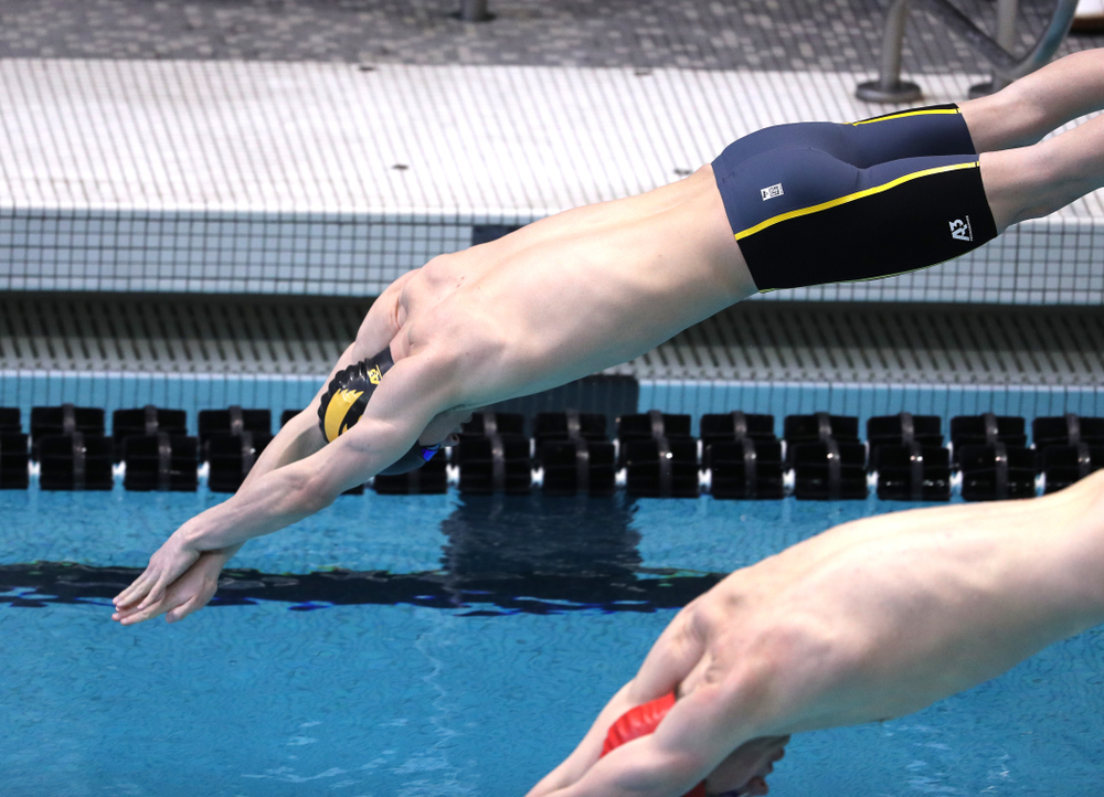 Iowa's Tom Schab swims in the preliminaries of the 500-yard freestyle during the 2019 Big Ten Swimming and Diving Championships Thursday, February 28, 2019 at the Campus Wellness and Recreation Center. (Brian Ray/hawkeyesports.com)