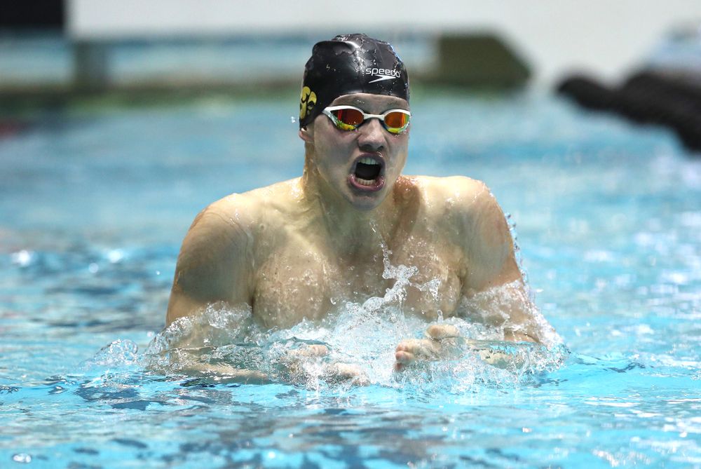 Iowa's Anze Fers Erzen swims the 200-yard IM during the bonus final of the second day at the 2019 Big Ten Swimming and Diving Championships Thursday, February 28, 2019 at the Campus Wellness and Recreation Center. (Brian Ray/hawkeyesports.com)