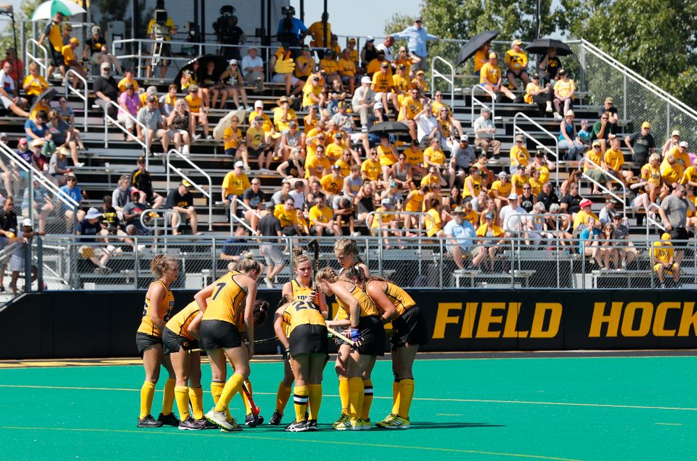 The Iowa Hawkeyes against Indiana Sunday, September 16, 2018 at Grant Field. (Brian Ray/hawkeyesports.com)