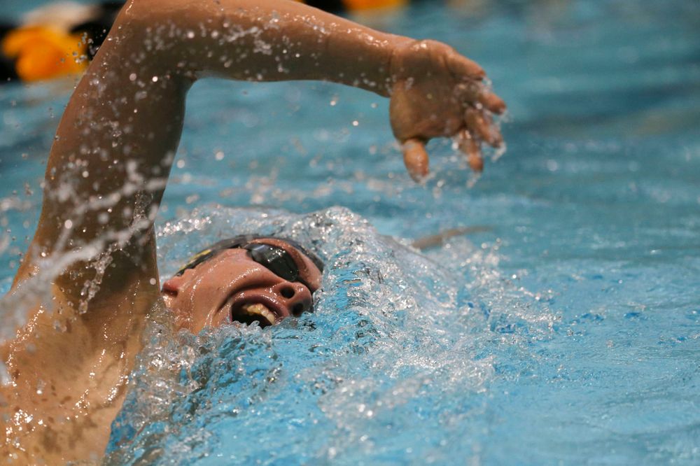 Iowa's B team at the 1,650-yard freestyle race Saturday, March 2, 2019 at the Campus Recreation and Wellness Center. (Lily Smith/hawkeyesports.com)