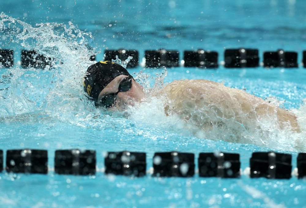 Iowa's Ben Colin swims the 500 yard freestyle Thursday, November 15, 2018 during the 2018 Hawkeye Invitational at the Campus Recreation and Wellness Center. (Brian Ray/hawkeyesports.com)