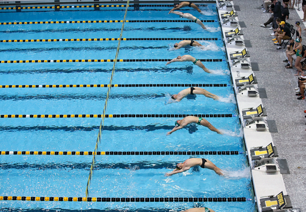 Iowa’s Preston Planells, Anze Fers Erzen, John Colin, and Ryan Purdy swim the men’s 100-yard backstroke event during their meet against Michigan State and Northern Iowa at the Campus Recreation and Wellness Center in Iowa City on Friday, Oct 4, 2019. (Stephen Mally/hawkeyesports.com)