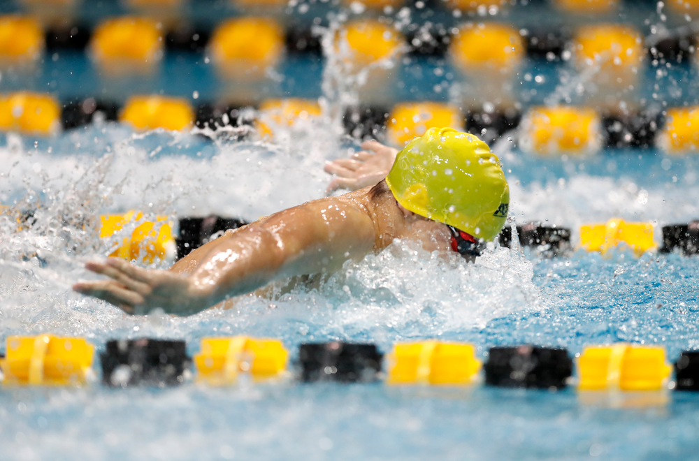 Anze Fers Erzen swims the 200 yard IM during the Black and Gold Intrasquad Saturday, September 29, 2018 at the Campus Recreation and Wellness Center. (Brian Ray/hawkeyesports.com)
