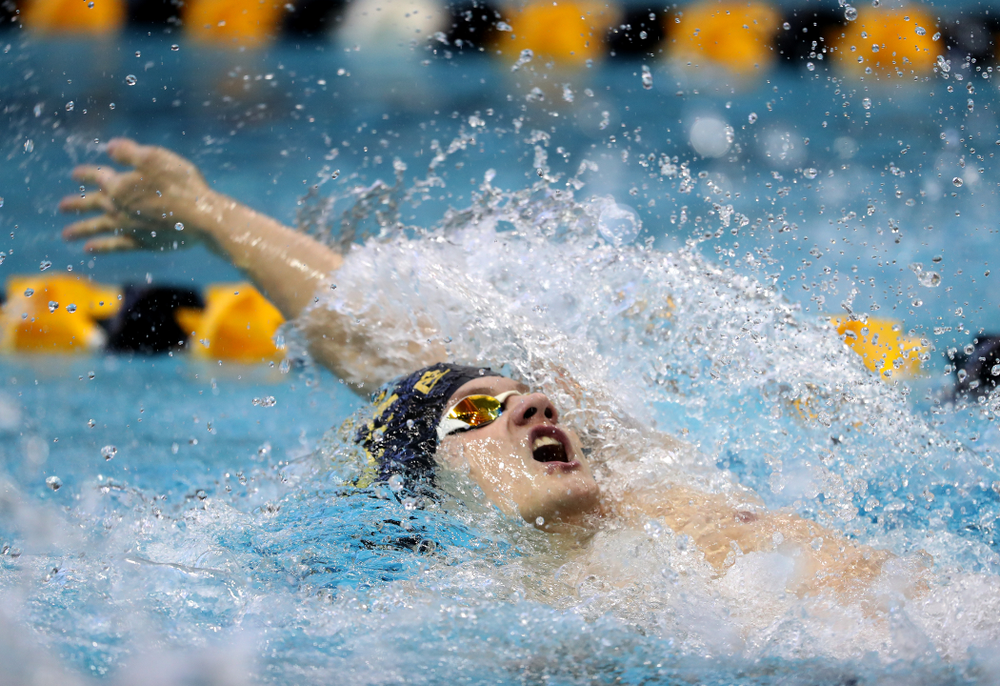 Iowa's Anze Fers Erzen swims the 100 yard backstroke during a double dual against Wisconsin and Northwestern Saturday, January 19, 2019 at the Campus Recreation and Wellness Center. (Brian Ray/hawkeyesports.com)