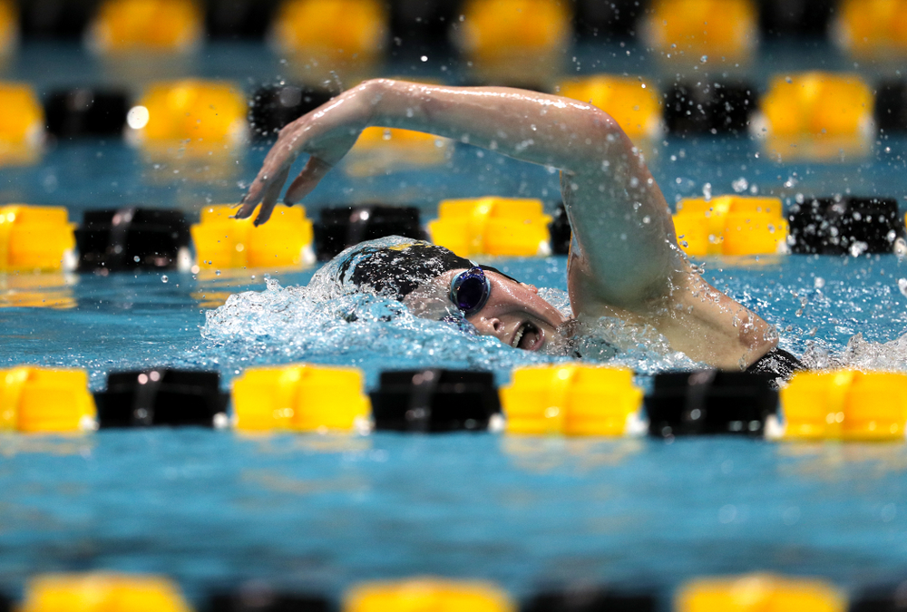 Iowa's Abbey Schneider swims the 500-yard freestyle against the Iowa State Cyclones in the Iowa Corn Cy-Hawk Series Friday, December 7, 2018 at at the Campus Recreation and Wellness Center. (Brian Ray/hawkeyesports.com)