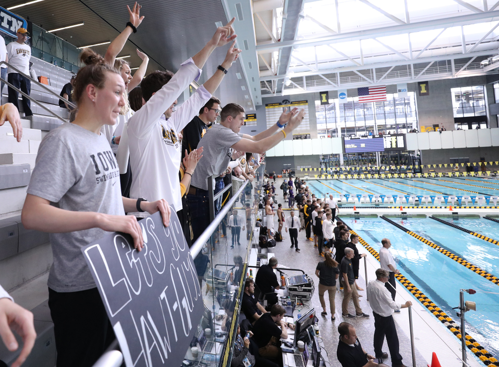 Fans cheer during the 2019 Big Ten Men's Swimming and Diving Championships Saturday, March 2, 2019 at the Campus Wellness and Recreation Center. (Brian Ray/hawkeyesports.com)