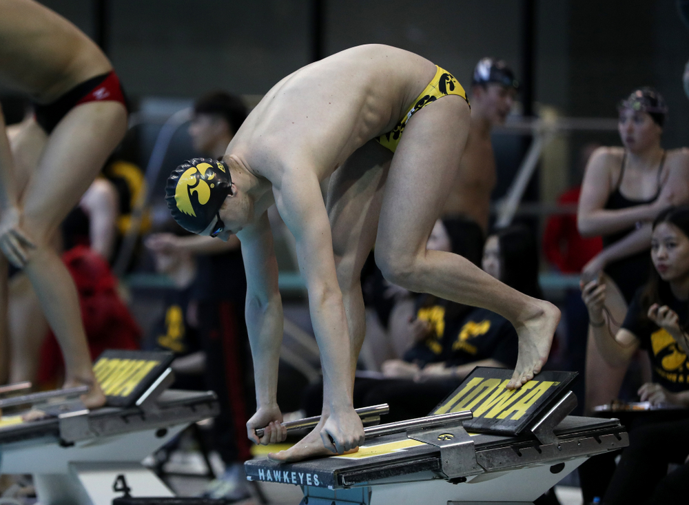 Iowa's Aleksey Tarasenko swims the 200 yard freestyle during a double dual against Wisconsin and Northwestern Saturday, January 19, 2019 at the Campus Recreation and Wellness Center. (Brian Ray/hawkeyesports.com)