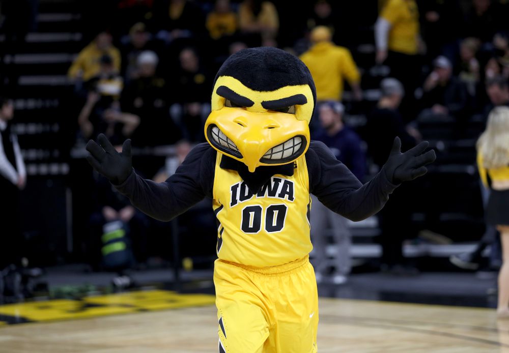 Herky The Hawk against the Nebraska Cornhuskers Saturday, February 8, 2020 at Carver-Hawkeye Arena. (Brian Ray/hawkeyesports.com)