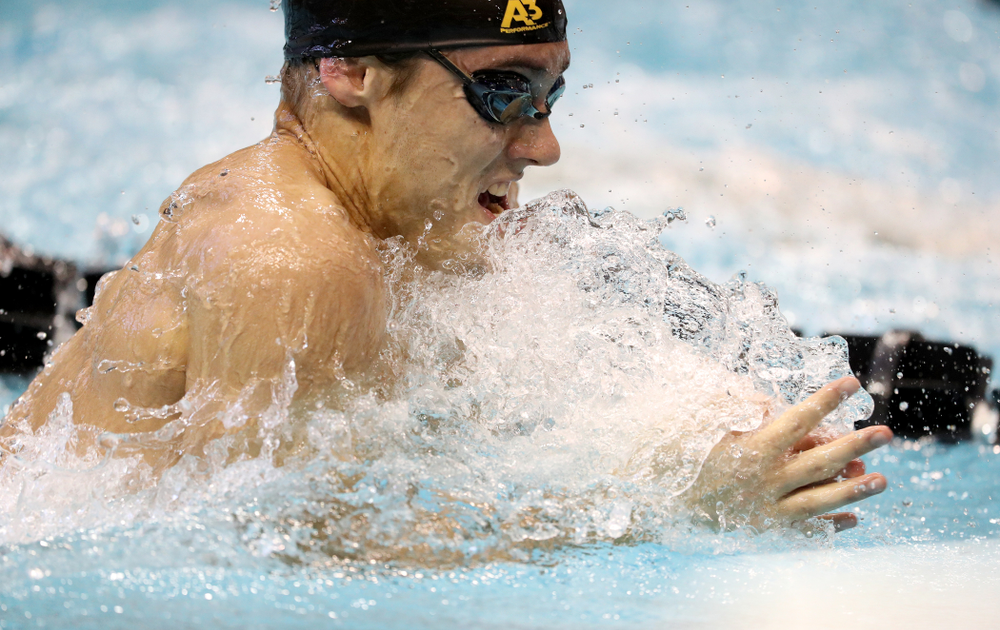 Iowa's Daniel Swanepoel swims the breaststroke leg of the 200 yard medley relay during a double dual against Wisconsin and Northwestern Saturday, January 19, 2019 at the Campus Recreation and Wellness Center. (Brian Ray/hawkeyesports.com)