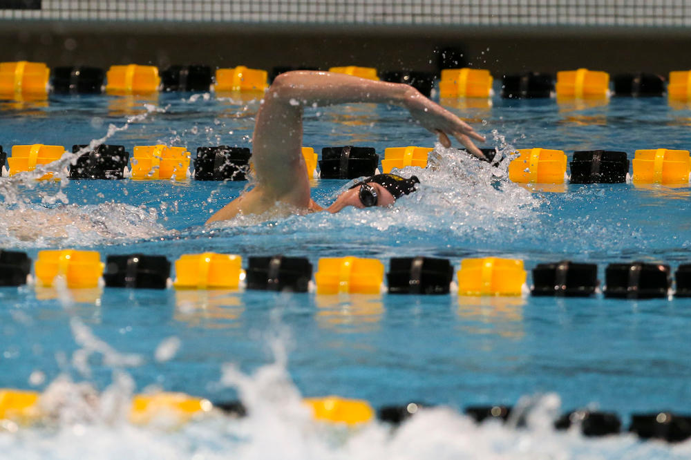 Iowa’s Allyssa Fluit during Iowa swim and dive vs Minnesota on Saturday, October 26, 2019 at the Campus Wellness and Recreation Center. (Lily Smith/hawkeyesports.com)