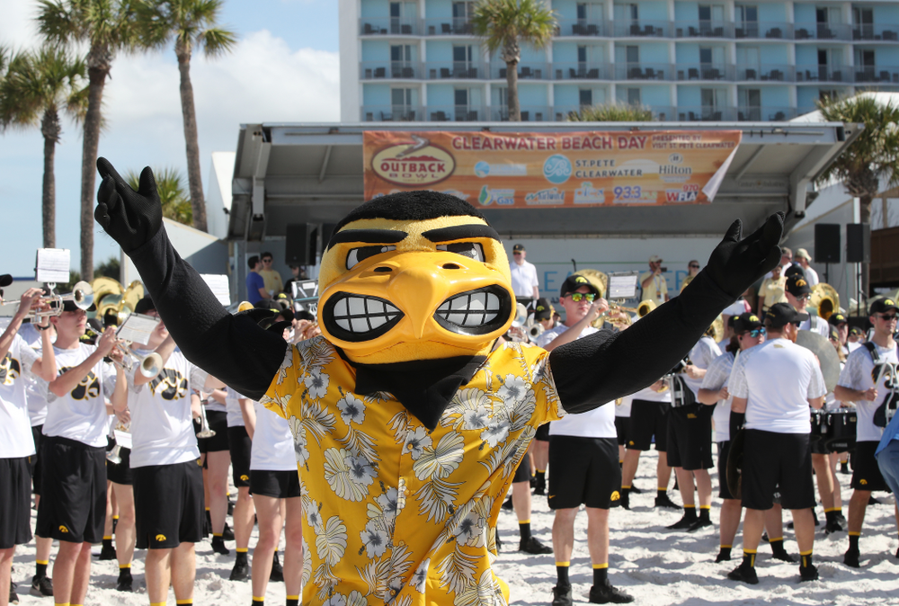 Herky The Hawk during the Outback Bowl Beach Day Sunday, December 30, 2018 at Clearwater Beach. (Brian Ray/hawkeyesports.com)