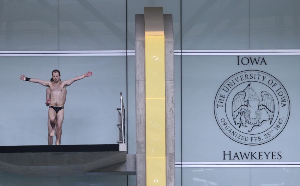 Iowa's Anton Hoherz competes on the platform during the 2019 Big Ten Men's Swimming and Diving Championships Saturday, March 2, 2019 at the Campus Wellness and Recreation Center. (Brian Ray/hawkeyesports.com)