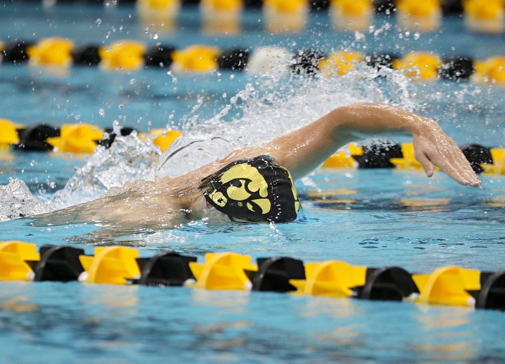 Iowa’s Daniel Swanepoel swims his section of the men’s 200-yard freestyle relay event during their meet against Michigan State at the Campus Recreation and Wellness Center in Iowa City on Thursday, Oct 3, 2019. (Stephen Mally/hawkeyesports.com)