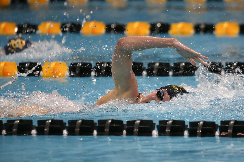 Iowa’s Alyssa Fluit swims the 200-yard freestyle during the Iowa swimming and diving meet vs Notre Dame and Illinois on Saturday, January 11, 2020 at the Campus Recreation and Wellness Center. (Lily Smith/hawkeyesports.com)