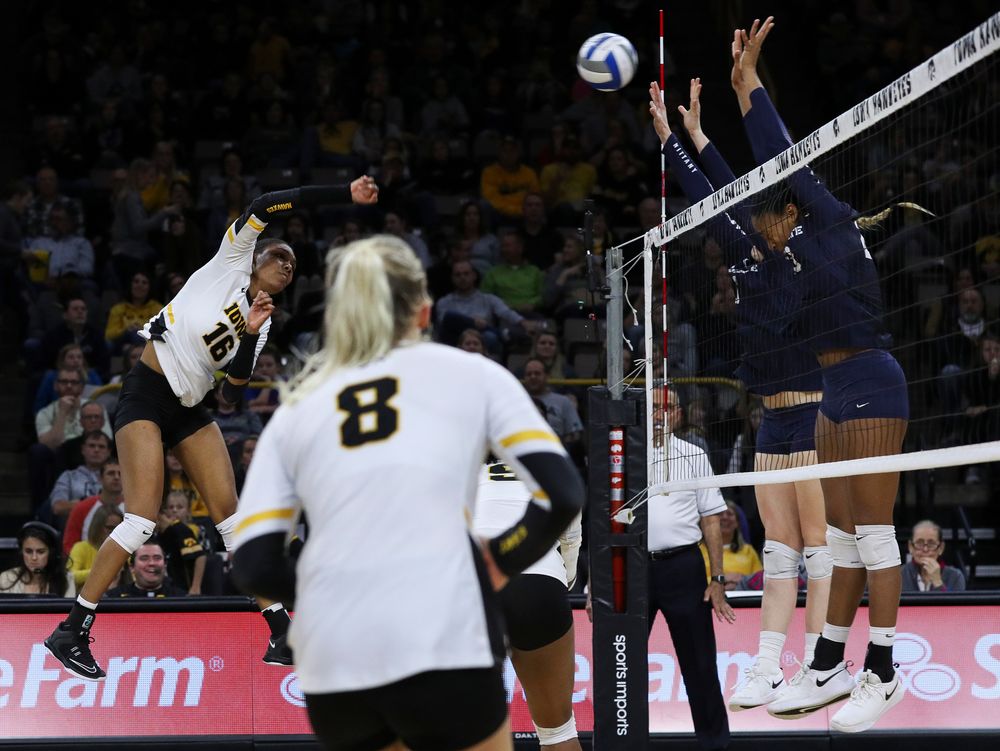 Iowa Hawkeyes outside hitter Taylor Louis (16) spikes the ball during a match against Penn State at Carver-Hawkeye Arena on November 3, 2018. (Tork Mason/hawkeyesports.com)