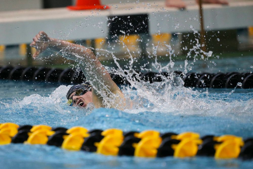 Iowa's Anze Fers Erzan team at the 200-yard backstroke race Saturday, March 2, 2019 at the Campus Recreation and Wellness Center. (Lily Smith/hawkeyesports.com)