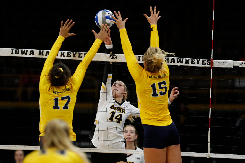 Iowa Hawkeyes outside hitter Cali Hoye (14) against the Michigan Wolverines Sunday, September 23, 2018 at Carver-Hawkeye Arena. (Brian Ray/hawkeyesports.com)