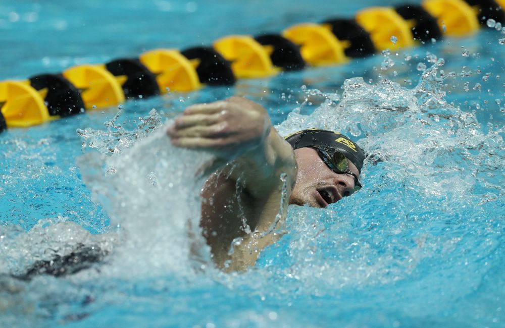 Iowa's Tom Schab swims the 500 yard freestyle Thursday, November 15, 2018 during the 2018 Hawkeye Invitational at the Campus Recreation and Wellness Center. (Brian Ray/hawkeyesports.com)
