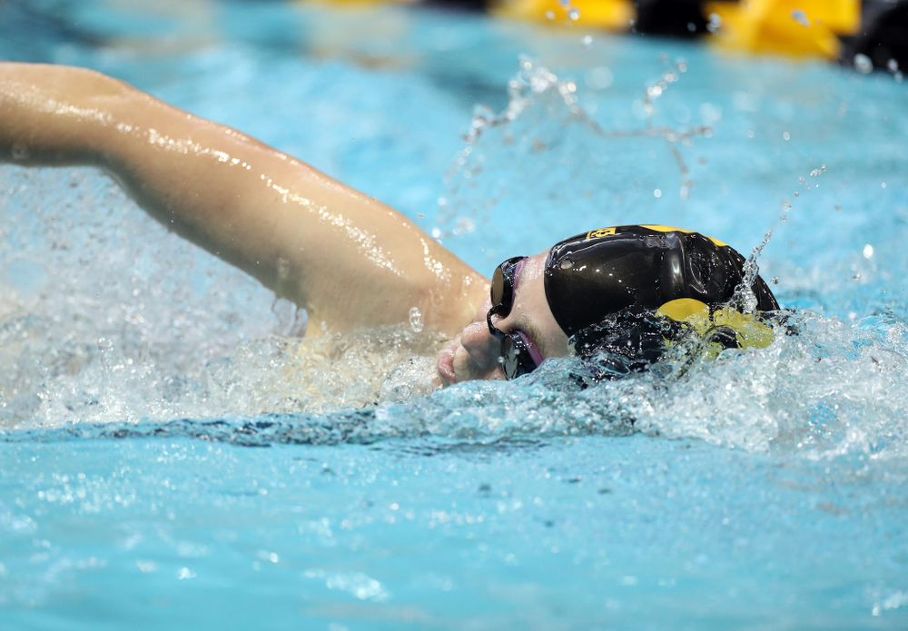 IowaÕs Alley Thomas swims the 1,000 yard freestyle agains the Michigan Wolverines Friday, November 1, 2019 at the Campus Recreation and Wellness Center. (Brian Ray/hawkeyesports.com)