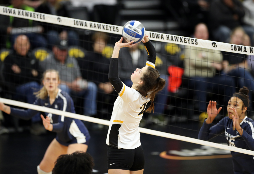 Iowa Hawkeyes setter Courtney Buzzerio (2) against Penn State Friday, November 1, 2019 at Carver Hawkeye Arena. (Brian Ray/hawkeyesports.com)