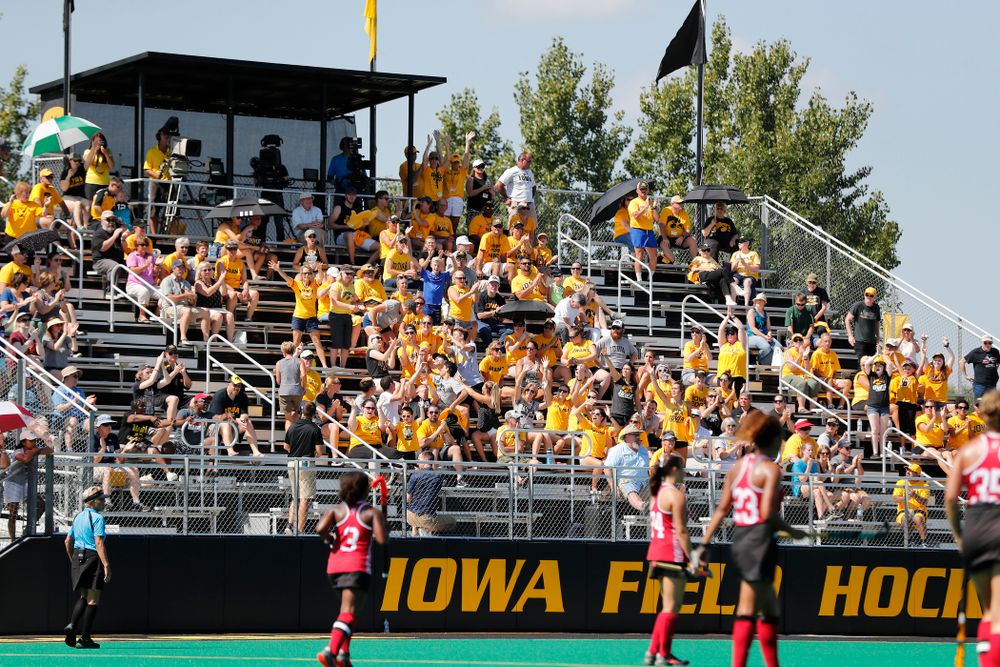 Fans of the Iowa Hawkeyes against Indiana Sunday, September 16, 2018 at Grant Field. (Brian Ray/hawkeyesports.com)