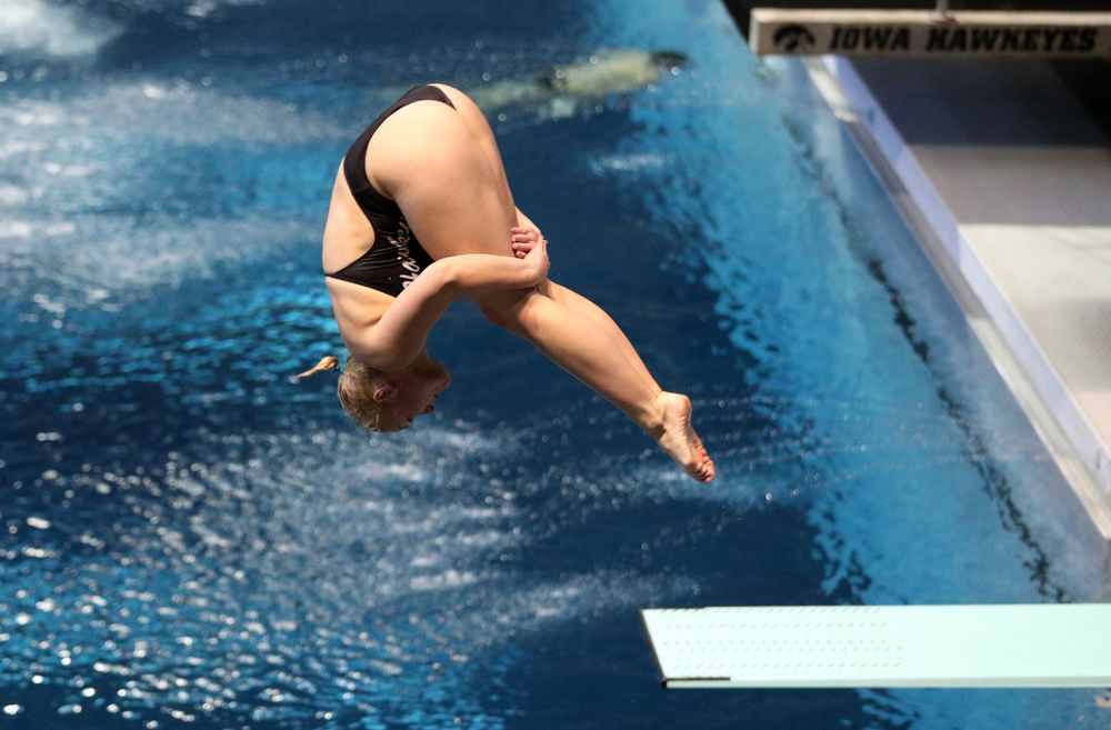 Thelma Strandberg competes on the 1 meter board Thursday, November 15, 2018 during the 2018 Hawkeye Invitational at the Campus Recreation and Wellness Center. (Brian Ray/hawkeyesports.com)