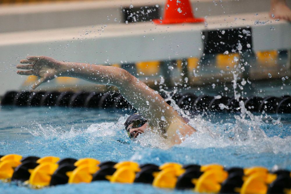 Iowa's Anze Fers Erzan team at the 200-yard backstroke race Saturday, March 2, 2019 at the Campus Recreation and Wellness Center. (Lily Smith/hawkeyesports.com)
