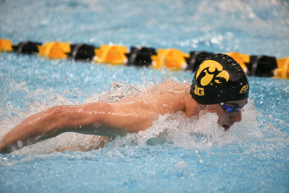 Iowa’s Dolan Craine swims the 200-yard butterfly during the Iowa swimming and diving meet vs Notre Dame and Illinois on Saturday, January 11, 2020 at the Campus Recreation and Wellness Center. (Lily Smith/hawkeyesports.com)