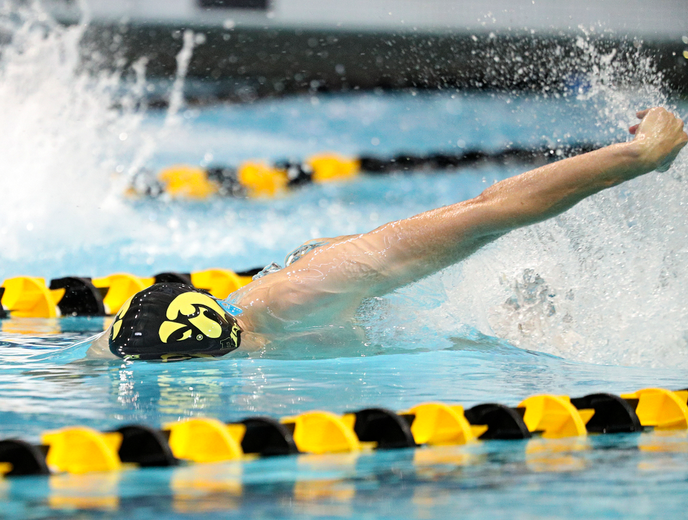 Iowa’s Will Scott swims the men’s 50-yard freestyle event during their meet against Michigan State and Northern Iowa at the Campus Recreation and Wellness Center in Iowa City on Friday, Oct 4, 2019. (Stephen Mally/hawkeyesports.com)